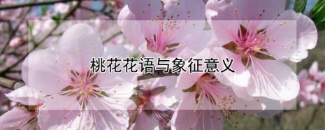 红桃花的花语