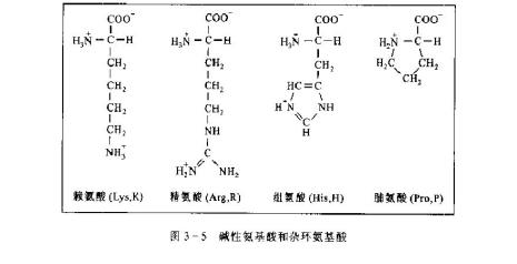 化学结构式一横两横代表什么