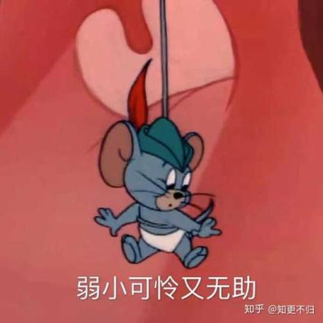 你装作不知道是什么意思