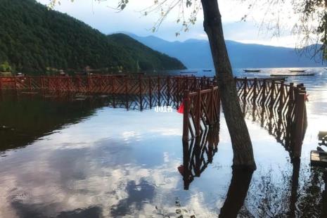 泸沽湖跟东江湖哪个大