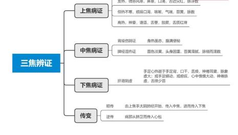 三焦学说是谁提出的