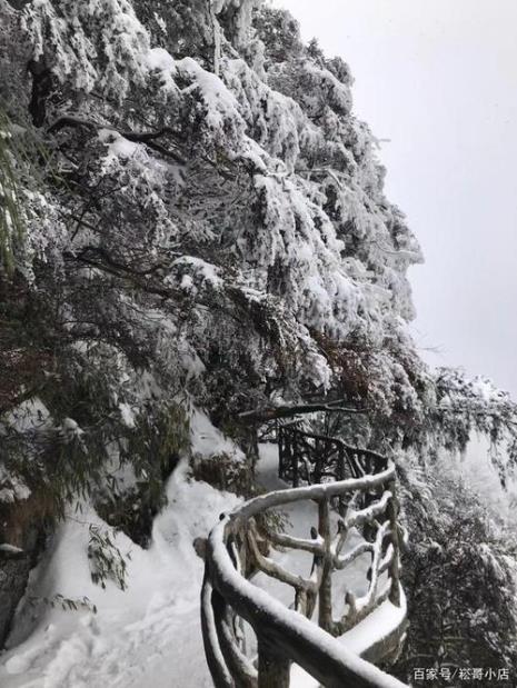 巴山大峡谷1.13有雪没