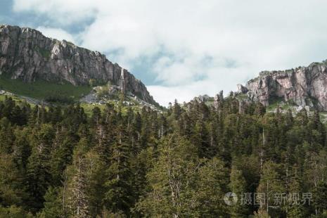 大高加索山脉什么植被