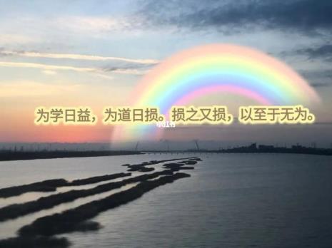 为学日益损之又损以至无为译文