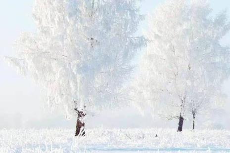 下雪入山的诗