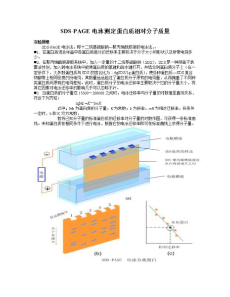 ce-sds分离原理