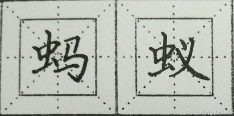 虫字写一句话