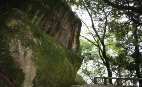 鼓山最高能走到哪里