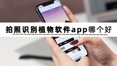 App里面哪个软件具有植物识别功能