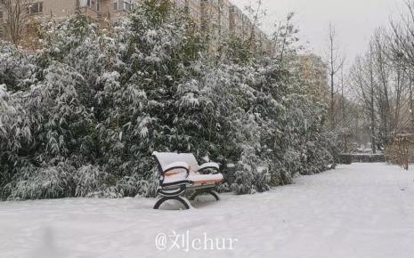 隔年雪是啥