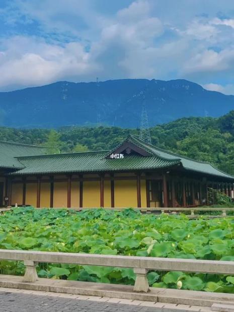 东林寺是姜山还是茅山