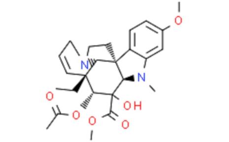 参考文献ido什么意思