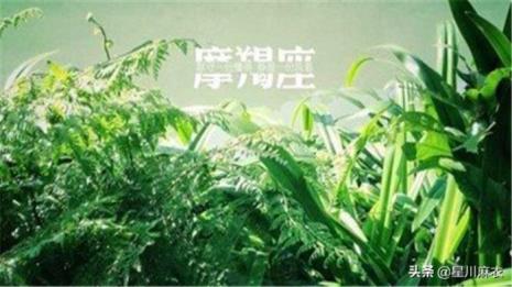 摩羯女的真实性格