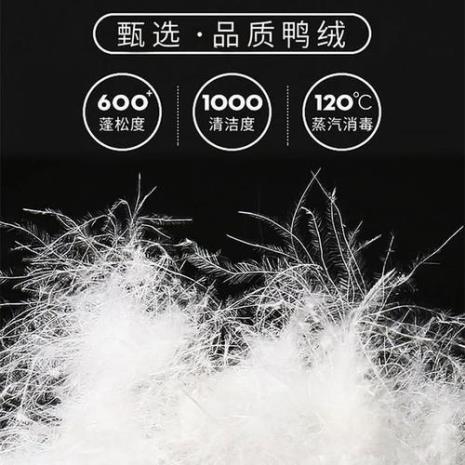 90白鸭绒和90%白鸭绒区别