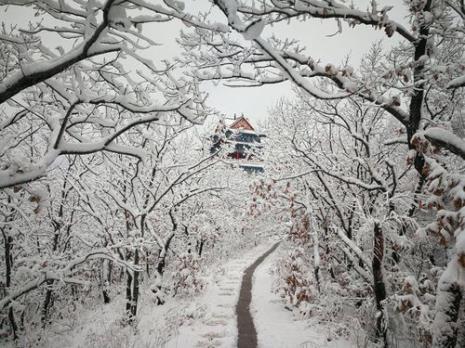 头场雪主要内容