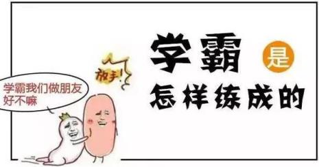 乖乖隆地咚是哪里方言