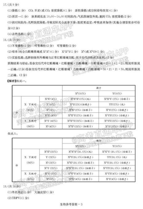 t8联考和8省联考有什么关系