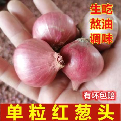 广东红葱头为什么那么香