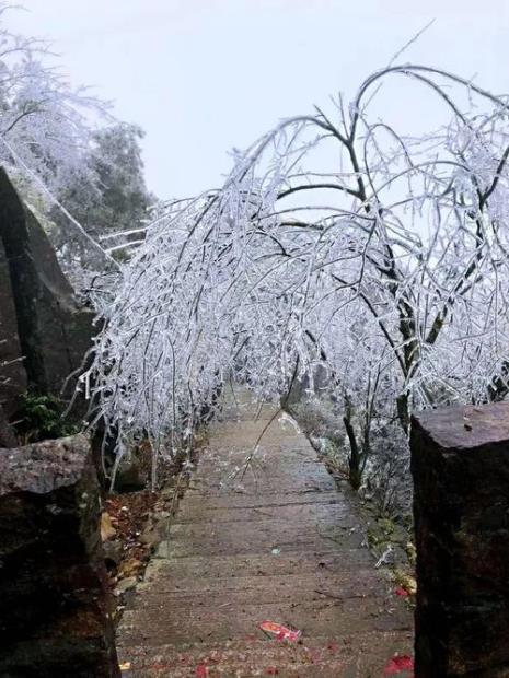 福建下雪是真的吗