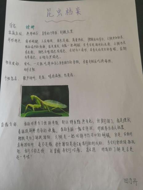 介绍昆虫记十种昆虫各30字