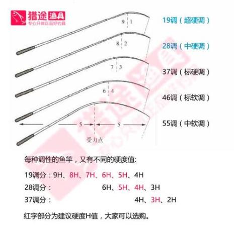 37调性的渔竿能钓到多大的鱼