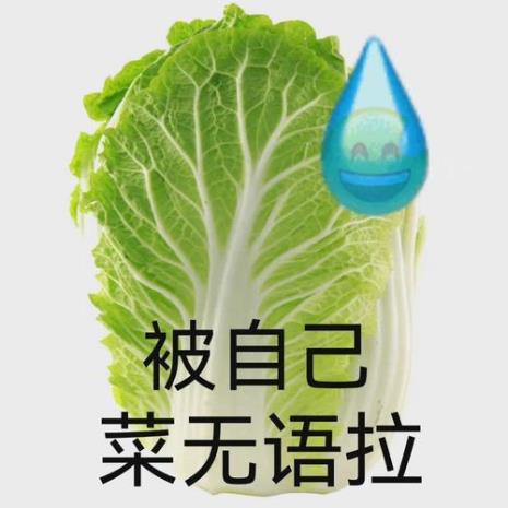 藏头诗表示自己无语