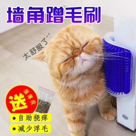 猫抓板上的猫毛怎么处理