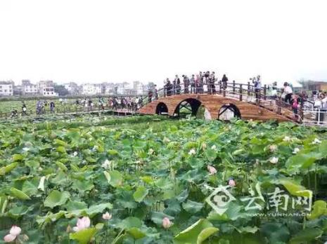 南阳7-8月份自驾最佳地方