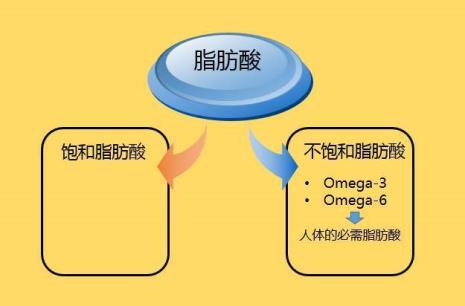 高级脂肪酸是什么