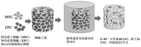 位于骨基质的细胞是