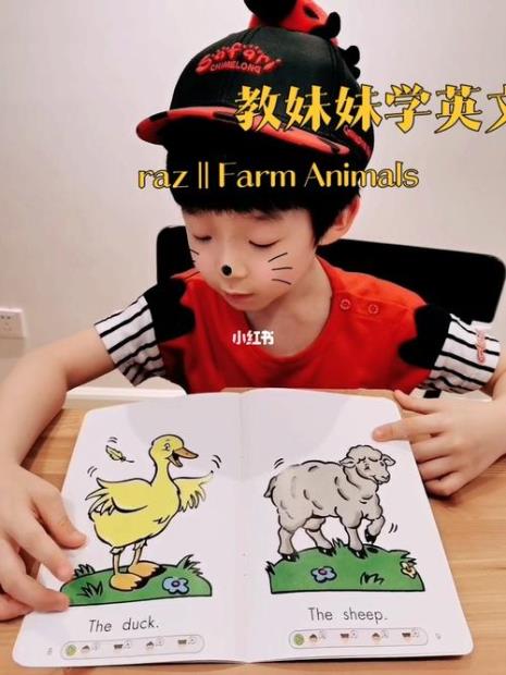 animals怎么读最好是汉语注音