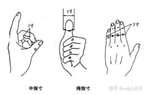 四指是几寸