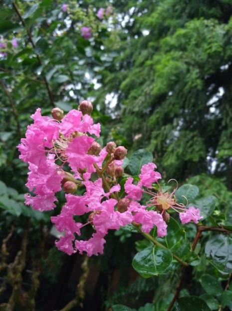 一年级四季花开的季节