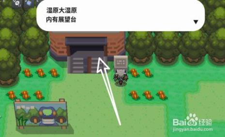 pokemmo神秘宝石有什么用