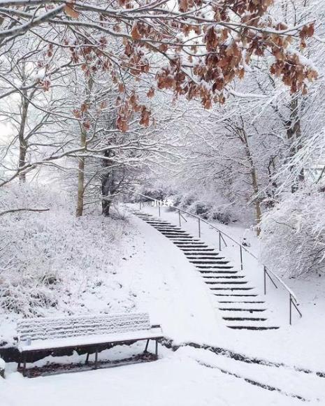 雪景思念人的诗句