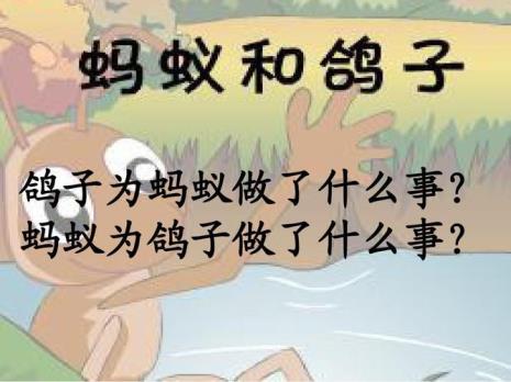 大班绘画信鸽教案