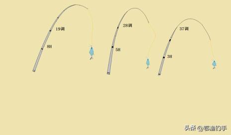 矶钓竿28调性和37调性的区别