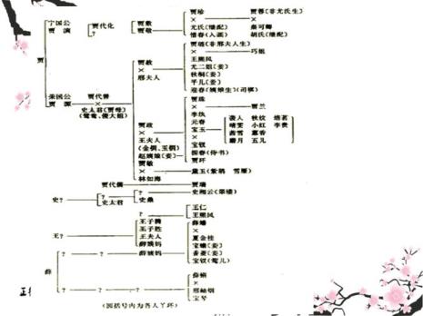 红楼梦人物性格特点事例