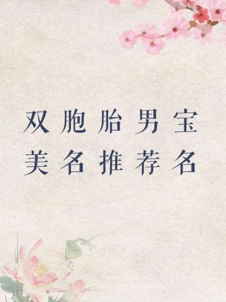 起名字双胞胎