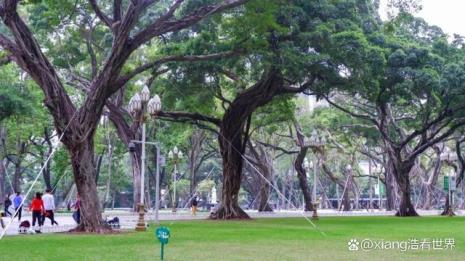 广州阴凉的景点介绍