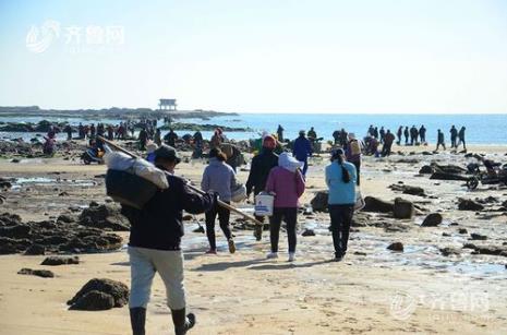 日照10月份赶海时间