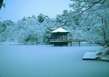 愿君坐明堂不染雪与霜出处