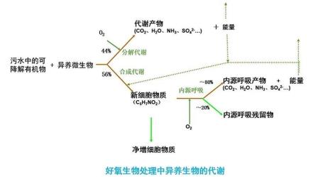 氧系清洁的清洁原理是什么