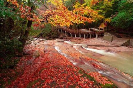 光雾山景区什么时候建立的