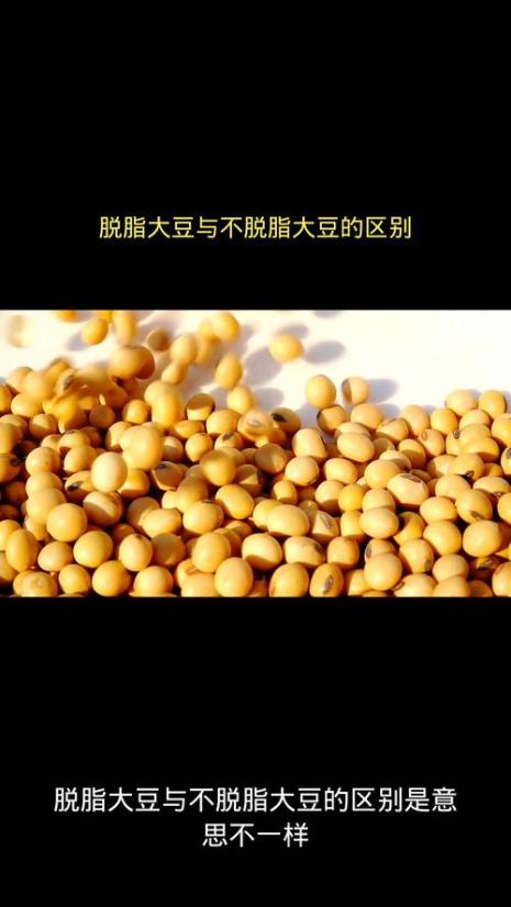 脱脂大豆与不脱脂大豆哪个好