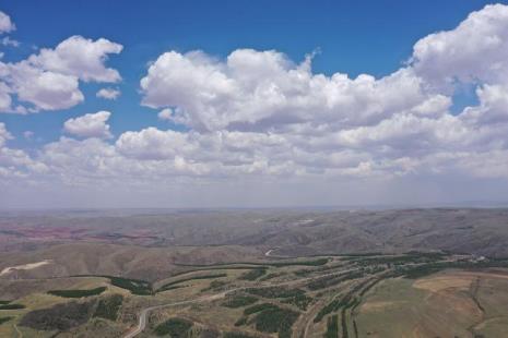 大青山是青龙山公园吗