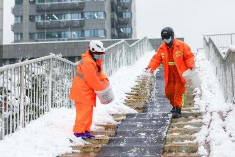 为什么雪可以防冻