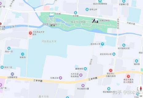 河北农业大学在保定哪个区