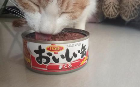 汤姆先生猫罐头怎么样