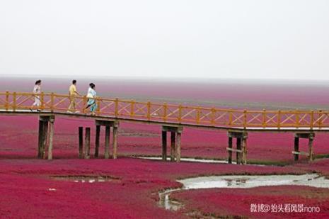 盘锦车站到红海滩怎么走